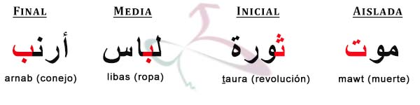 Curso de árabe madrid